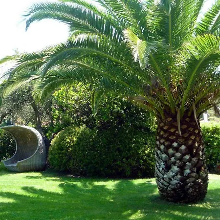 Apt. Marilena By Solturelba Holiday home