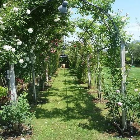 Apt. Marilena By Solturelba Σπίτι διακοπών