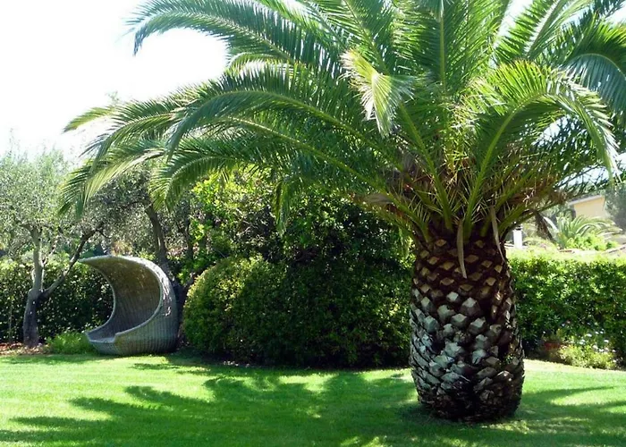 Apt. Marilena By Solturelba Casa vacanze